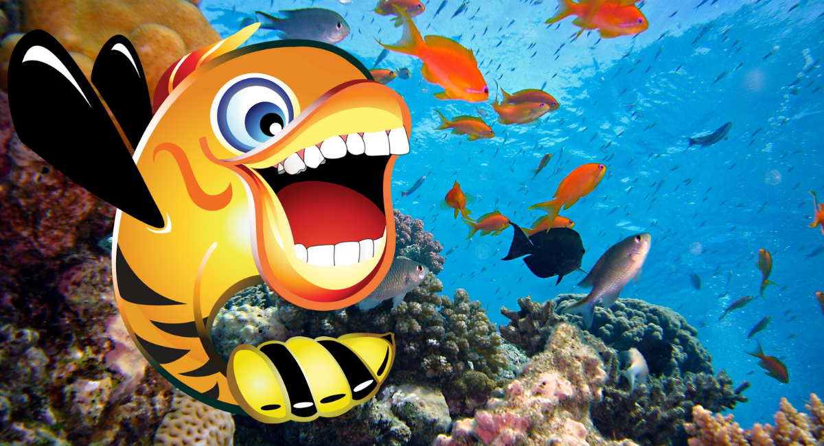 Buzzfish Media